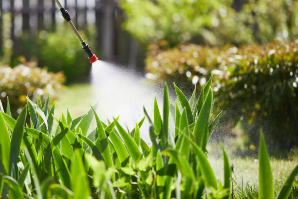 24/7 Emergency Mosquito Control experts in Mattawa, WA